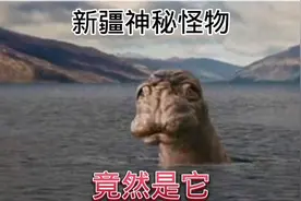 喀纳斯水怪之谜被解开视频封面