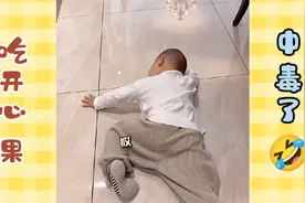小橙子吃完开心果中毒了🤣没有一大把开心果起不来了这回🤣视频封面