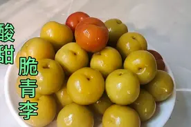 酸脆的泡青李这样做，清脆爽口，酸酸甜甜，开胃解腻超好吃视频封面