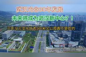 航拍武汉光谷东，30年发展将成武汉新中心，500米见公园环境真好视频封面