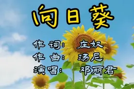 你是一朵《向日葵》吐露芬芳为了谁？笑靥是那样美……视频封面