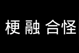梗 王，咱就是说啊，这里面的梗你肯定都知道！视频封面