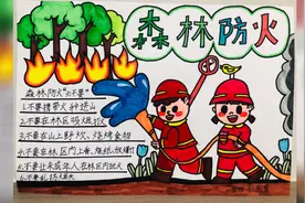 森林防火主题手抄报，一年级手抄报作业视频封面