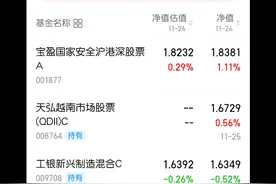 记录每一天的基金收益视频封面