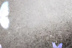 我的影子视频封面