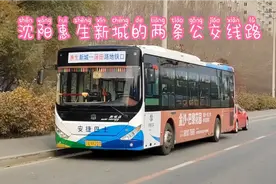 沈阳惠生新城的两条公交线路视频封面