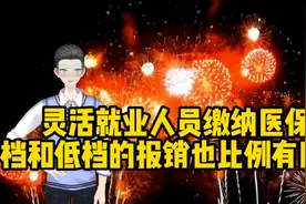 灵活就业人员缴纳医保，高档和低档的报销比例有区别吗？视频封面