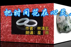 林清玄把时间花在心灵上，百花丛里过，片叶不沾身，静享美好生活视频封面