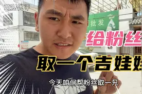 吉娃娃长什么样子一起来看看吧