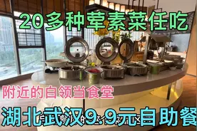 湖北武汉9.9元一位自助餐，20多种荤素菜任吃，附近的白领当食堂视频封面