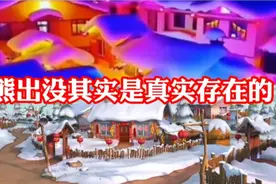 （狗熊岭其实是真实存在的）就在我国东北地区极为相似的狗熊岭视频封面