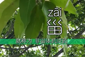#甾 的读音，同灾。甾体消炎药主要有类固醇和激素