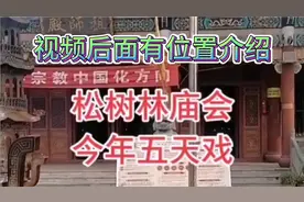 镇平县三月庙会五天视频封面