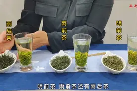 买茶技巧！绿茶这样选，轻松买到适合自己的茶，还不浪费钱！视频封面