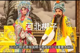 河北梆子简介视频封面