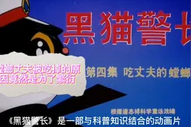 《黑猫警长》：螳螂丈夫在新婚之夜被吃掉的原因竟然是为了繁衍！视频封面