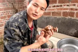 今天要干活了，把模板搬到楼顶去，搞个靓汤喝，金刚藤炖猪骨汤。视频封面