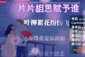 一直喜欢粤语歌，总觉得更有韵味，一首粤语版(片片相思赋予谁)视频封面