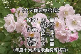 《今天你要嫁给我》歌曲获得第18届台湾金曲奖最佳年度歌曲奖等奖视频封面