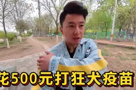 打一针狂犬疫苗花500元，刚打完第二针，还要继续打吗？