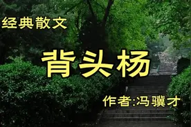 《背头杨》作者，冯骥才视频封面
