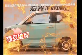 21年五菱出王炸燃油版MINI预搭1.0L＋CTV油耗3.1升续航680多公里视频封面