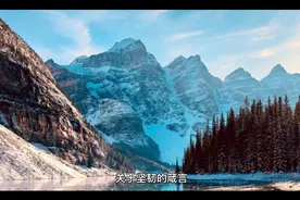 关于坚韧毅力的名家箴言警句视频封面