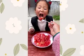 我不吃西红柿视频封面