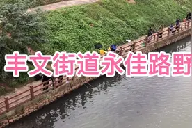 重庆沙坪坝丰文街道永佳路河边野钓垂钓钓鱼的人太多了一排排钓鱼视频封面