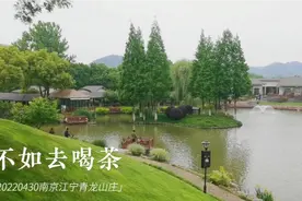 南京江宁青龙山。慢节奏、高颜值的休闲地。视频封面