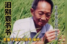 9月7日是袁隆平爷爷诞辰91周年 一首《泪别袁爷爷》缅怀他老人家视频封面