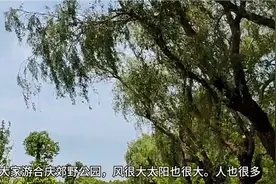 合庆之郊野公园游玩一天，还抓螃蟹。身心已经和大自然融为一体了视频封面