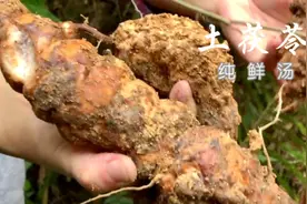 解密土茯苓汤，广东寿星公喝了一辈子的靓汤，教你祛湿甘甜的做法视频封面