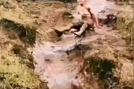 每一代人都有属于自己的童年回忆无意中看到长辈们的童年视频精彩视频封面