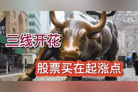 设置三条均线，符合三线开花，即可把股票买在起涨点。视频封面