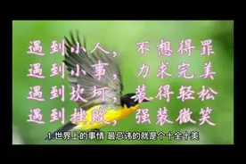 莫言作品经典语录视频封面