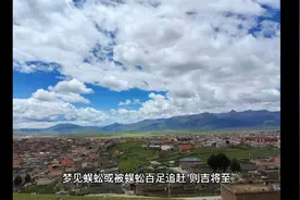 周公解梦之梦见蜈蚣视频封面