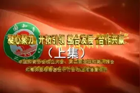 2019年中国知青大会《上集》视频封面