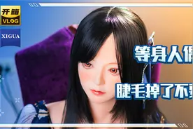等身人偶睫毛掉了不要慌 一招搞定视频封面