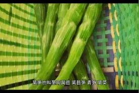 莴笋种植的时间和方法视频封面