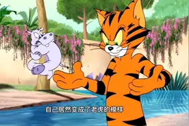 猫和老鼠：大画师猴子把汤姆画成了老虎后的一系列爆笑故事！视频封面