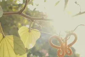 不是每个老师都称得上“为人师表”，可这位绝对称得上视频封面