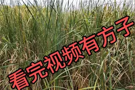手癣 看完视频就可以治好了@头条创作者变现小助手 @今日头条视频封面