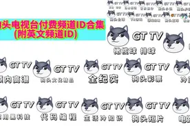 【架空】狗头电视台付费频道ID合集 (附英文频道ID)视频封面