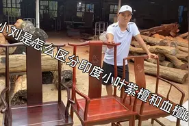 百万级的印度小叶紫檀和亲民血檀，它们到底有什么区别呢？视频封面