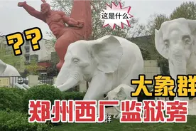 郑州市西厂监狱旁，发现6只可爱的大象群，小狗看门没法进去参观视频封面
