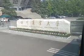 农业职业经理人，农业职业经理人培训，职业经理人证书，乡村振兴视频封面