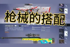 和平精英：吃鸡枪械搭配视频封面