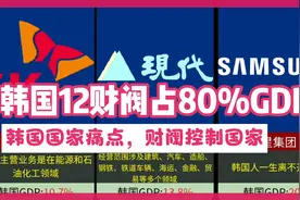 韩国12大财阀占80%GDP，国家痛点财阀控制国家视频封面