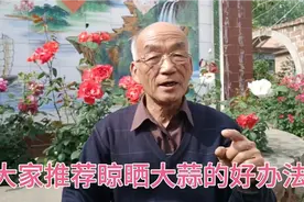 晾晒大蒜的方法用对了，才能确保大蒜耐储存，不变质。视频封面